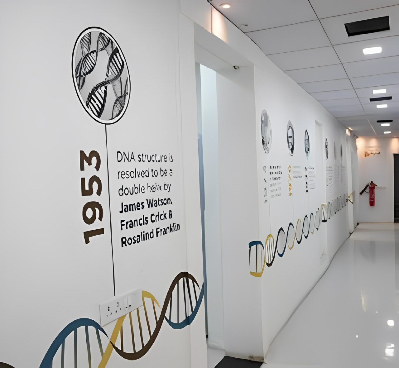 GENEHEALTH LAB